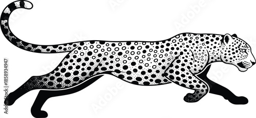 Running leopard vector illustration, black and white spotted wild cat, powerful predator animal artwork for logo, tattoo design, branding use