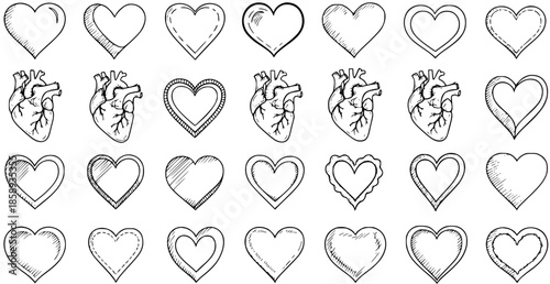 Black and white line art collection of anatomical and stylized hearts, medical and romantic symbols
