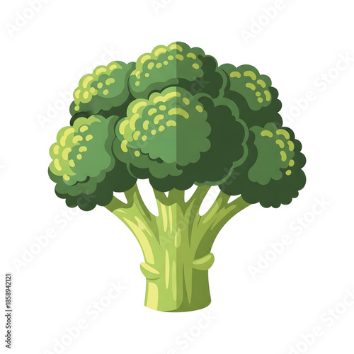 Illustration of a fresh green broccoli floret, a healthy and nutritious vegetable