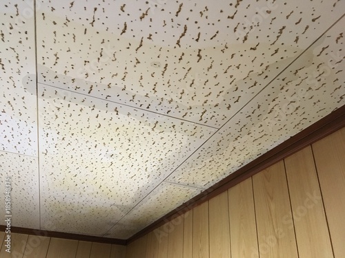 Fotografie 雨漏れしている家屋の天井のシミ