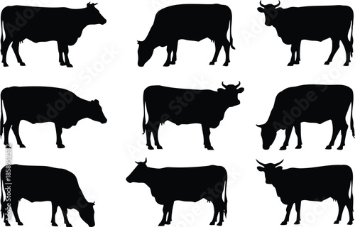 Collection of Cow Silhouettes, illustration, vector, silhouette