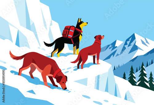 Three dogs on snowy mountain terrain, one with a backpack