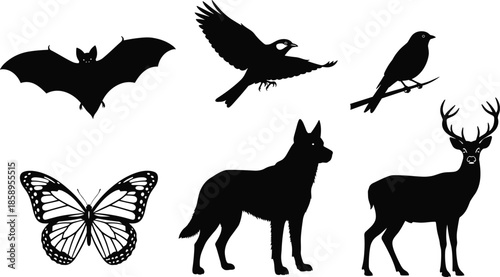 Black silhouette set of wild animals including deer, wolf, bat, butterfly, and birds, nature wildlife collection for outdoors and environment (20 words)