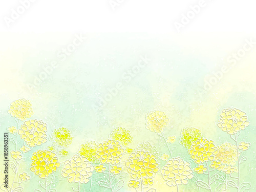 菜の花の背景イラスト
