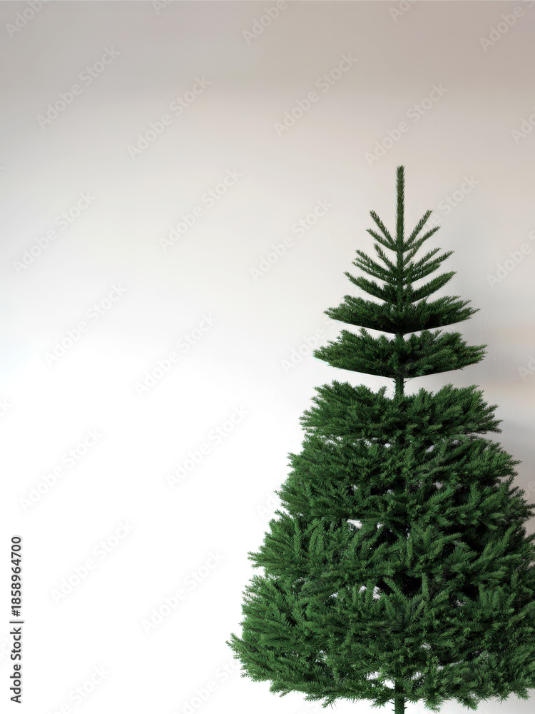 Fototapeta premium Elegant Undecorated Christmas Tree Isolated on White Background
