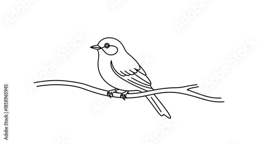 A simple line drawing of a small bird perched on a thin branch against a white background