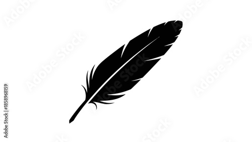 Black feather silhouette against a white background.