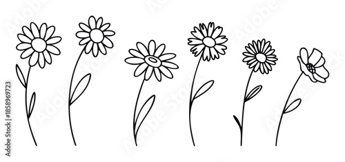 Delightful collection of outlined doodle style daisies featuring various shapes and stems ideal for nature inspired graphics and floral compositions for a fresh look