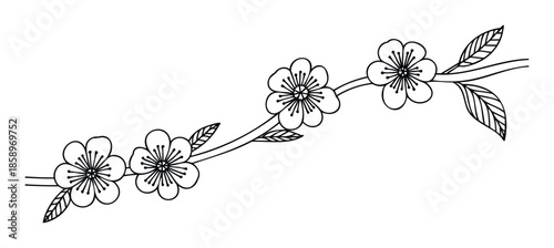 Elegant hand drawn cherry blossom branch with delicate petals and leaves, perfect for wedding invitations, greeting cards, textile prints, and various graphic design projects