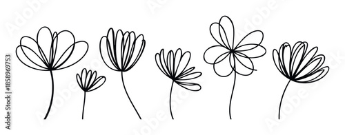 Modern minimalist continuous line drawings of abstract flowers and organic botanical elements perfect for contemporary graphic design projects decorative prints or digital assets