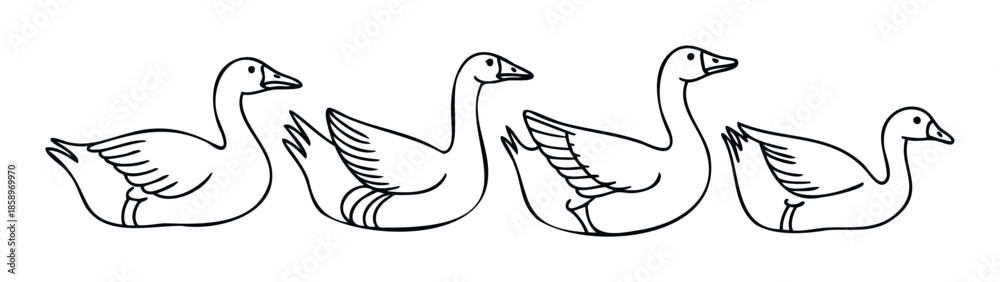 Obraz premium Graphic line art of a procession of geese, ideal for agricultural presentations, animal farm publications, and simple birdthemed educational resources.