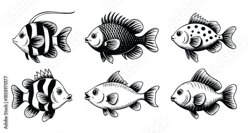 A collection of stylized black and white fish graphics perfect for seafood packaging, restaurant menus, aquarium themes, or ocean life educational materials