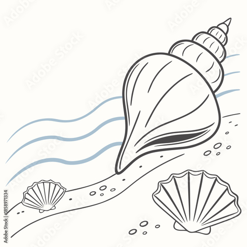 Seashells on a sandy beach