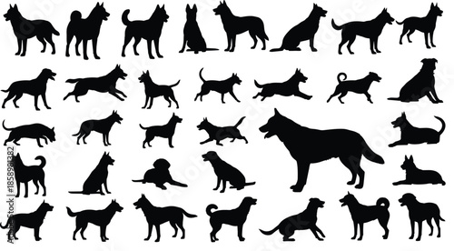 Large Vector Illustration Set Featuring Minimalist Dog Silhouettes Diverse Breeds Active Poses and Canine Profiles for Professional Pet Design
