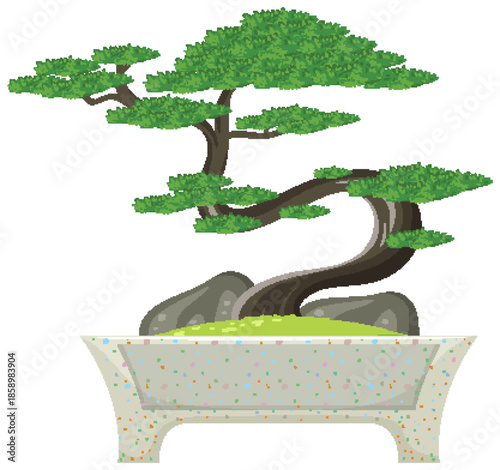 bonsai tree on white background