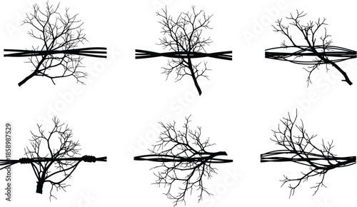 Bild auf Leinwand Tree branch silhouette, botanical vector, natural structure, dendritic pattern,