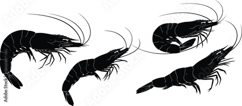 Set of Realistic Prawn and Shrimp Silhouettes for Seafood Restaurant Menu Design, CAD Drawing Flat Vector Illustration, Black Crustacean Icons