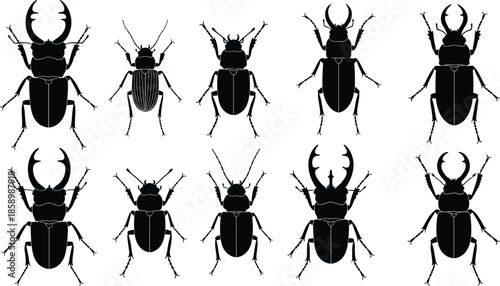 Set of black beetle silhouettes including stag beetles with large mandibles and various insects isolated on white background for nature design projects.