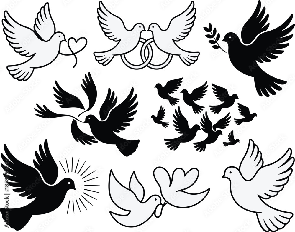 Fototapeta premium A flying silhouette line art style design with a white background