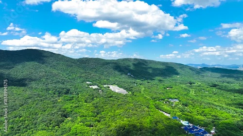 Nanjing Purple Mountain Zhongshan Mausoleum Scenic Area Forests 4K Aerial