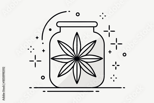 star anise aroma icon spice