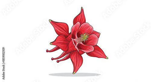 Bouquet of delicate white snowdrop flowers on a white background