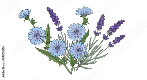 Red clover flower with green leaves, botanical illustration