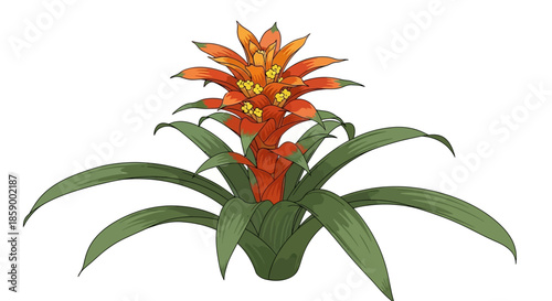 Stylized illustration of a single white flower on a white background.