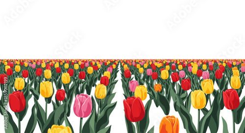 Close-up illustration of a vibrant purple aster flower with a yellow center.