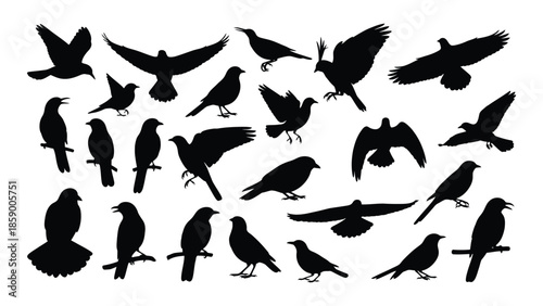 A collection of black bird silhouettes in various flying and perched positions