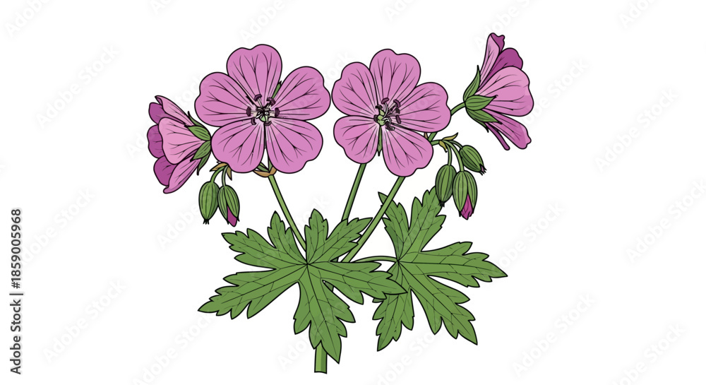 Φωτογραφία A single pink periwinkle flower with green leaves.
