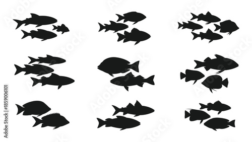 A collection of black silhouettes depicting various schools and individual fish