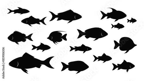 A school of black silhouetted fish swimming together in a marine environment