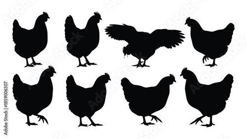A collection of black silhouette images depicting various poses of chickens and roosters