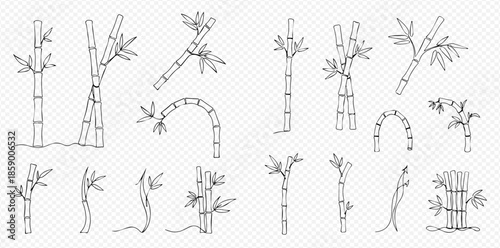 Set of hand-drawn bamboo stalks and leaves in various styles, perfect for nature-themed designs and illustrations.
