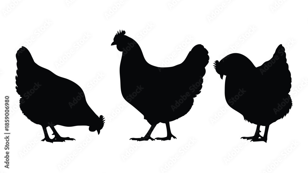 Fototapeta premium A simple black silhouette illustration of four chickens in a row