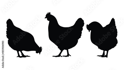 A simple black silhouette illustration of four chickens in a row