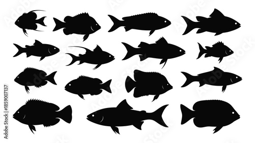 A collection of diverse black fish silhouettes arranged in a visually appealing pattern