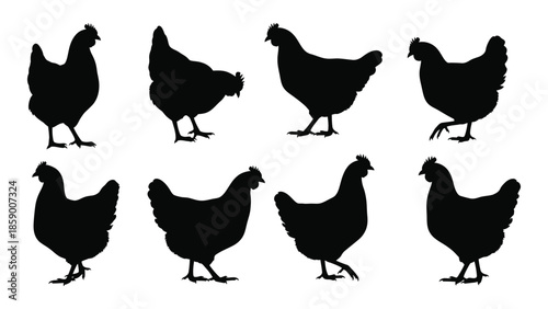 Silhouette collection of chickens in various poses against a plain white backdrop