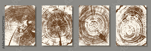 Tree ring patterns on wooden texture backgrounds. Natural wood grain templates with circular trunk cross-sections, featuring tree trunk cross-sections with annual rings for design projects, invitation