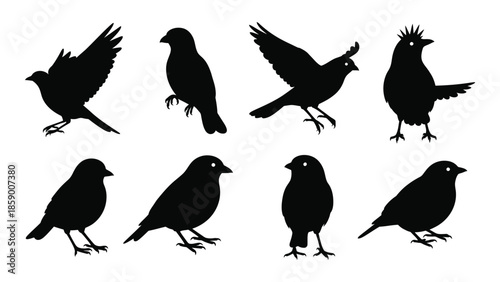 Black silhouette collection of various bird poses and species in a simple style