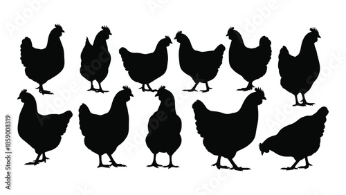 A collection of black silhouette chickens standing together in a row