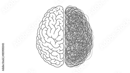 A stylized illustration of a human brain, with one hemisphere depicted as clear and organized, and the other as a chaotic scribble.