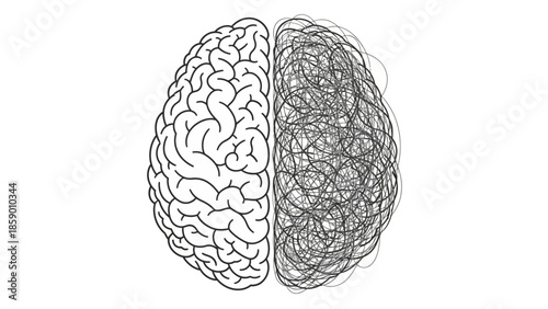 A visual representation of a human brain split in half, with one side depicted as organized and detailed, and the other as chaotic and scribbled.