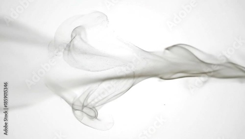 Abstract flowing smoke on white background.