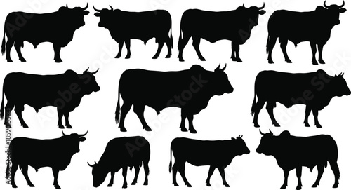 Bull silhouette set of farm animals, cattle breeds collection for agriculture logo design, livestock beef cow icons, masculine ox horn vector illustration isolated
