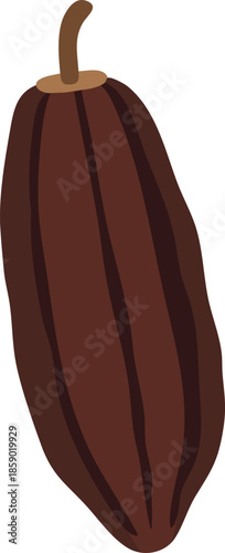 Cacao pod brown