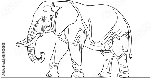 Minimalist African elephant continuous line art vector illustration, elegant wild animal profile for modern wildlife conservation and simple nature design