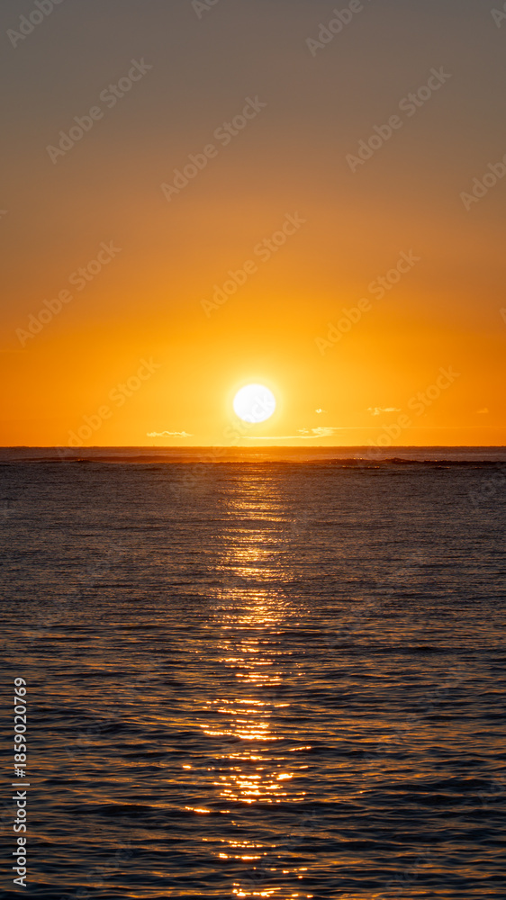 Fototapeta premium sunset over the sea