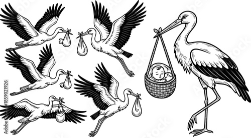 Stork bird delivering baby in basket vector illustration set, traditional newborn delivery concept line art for baby shower and pregnancy
